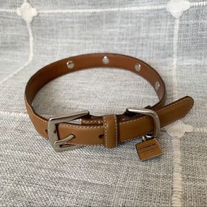 Coach Buckle Dog Collar
